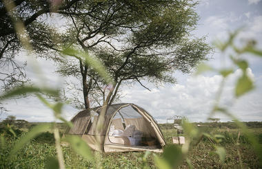 Wayo Trekking Camp