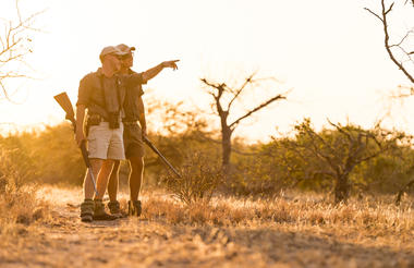 Greg and Chade Point Out a Herd of Elephants