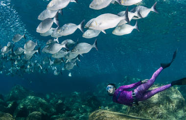 Snorkeling Near Camp Cecil de la Isla