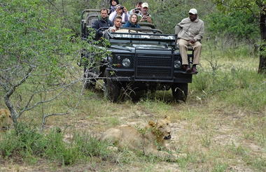 Vehículos de safari