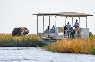Chobe River Safari