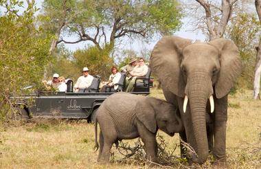 Six seater, custom designed safari vehicles