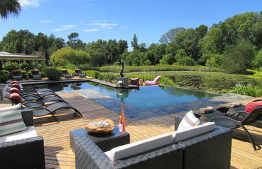 Lily Pond view over pool and lily ponds