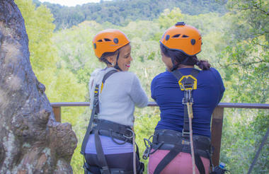 Tsitsikamma Canopy Tours