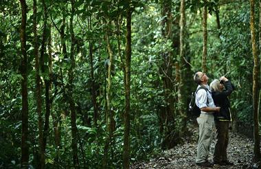 Monteverde Cloud Forest Reserve Tour