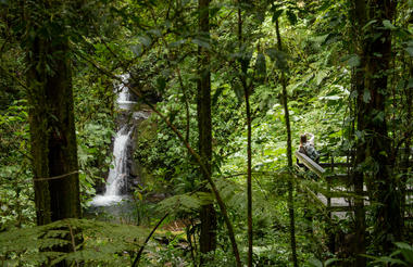 Monteverde Cloud Forest Reserve Tour