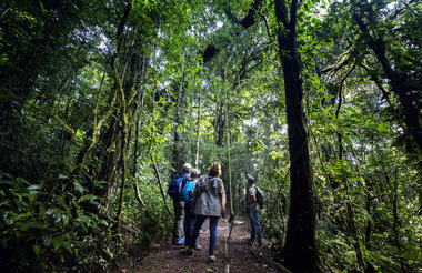 Monteverde Cloud Forest Reserve Tour