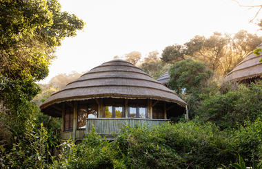 Forest View Rooms