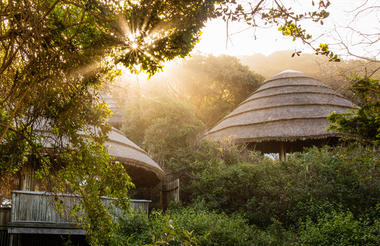Forest View Rooms