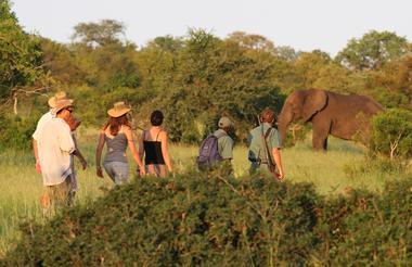 Plains Camp @ Rhino Walking Safaris - Walking Safaris