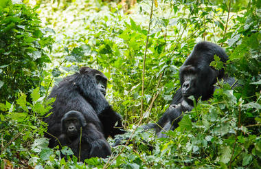 Singita Kwitonda Lodge