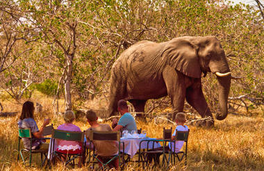 Lunch on Safari