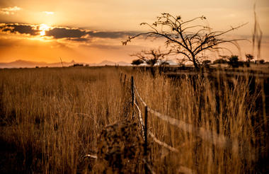 Farm Fence