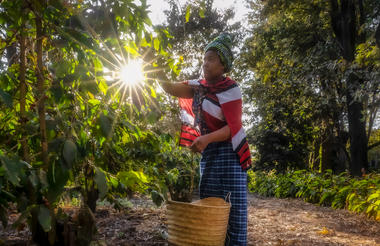 Elewana Collection Arusha Coffee Lodge