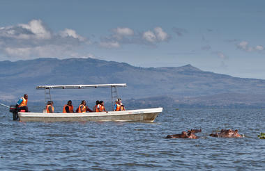 Boat Rides