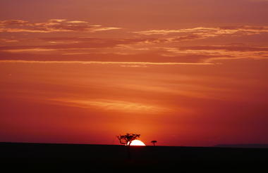 Sunset in Masai Mara