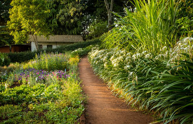 Pathway on the farm