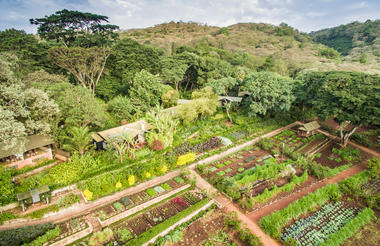 Arial view of Gibb's Farm