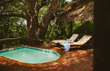 Tented Suite Plunge Pool