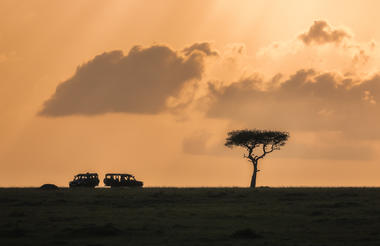 Elewana Collection Elephant Pepper Camp