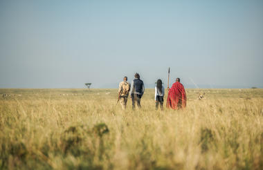 Elewana Collection Elephant Pepper Camp