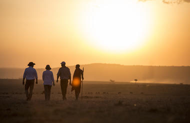 Elewana Elephant Pepper Camp - Activities & Wildlife