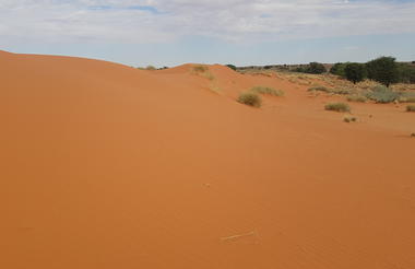 Rooiduin Farm