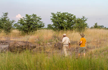 Safari Walk