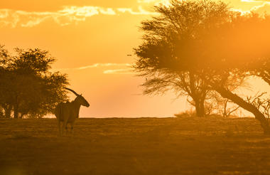 Sunset Drive at Kalahari Anib Lodge