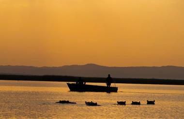 Sunrise Eco-Boat Safari — Makakatana Bay