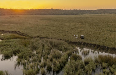 Afternoon Game Drive