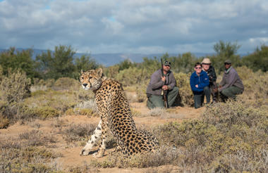 Tilney Manor at Sanbona Wildlife Reserve