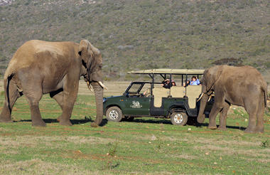 Garden Route Game Lodge