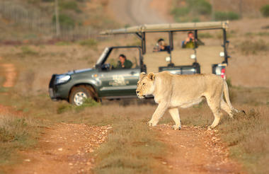 Garden Route Game Lodge