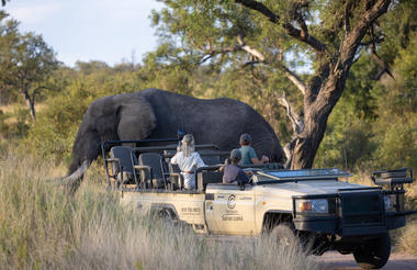 Game Drives