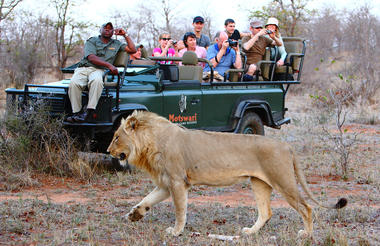 Motswari Private Game Reserve | Game Drives