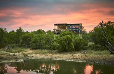 Motswari Private Game Reserve | Giraffe's Nest