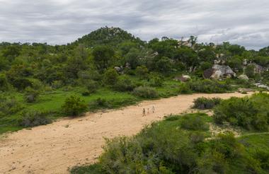 Guests on a walking safari