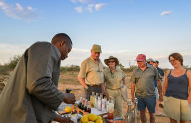 On Safari - Gin stop