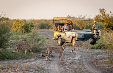 Game Drives