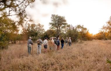 Bush walk
