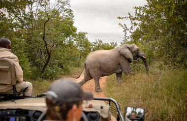 Kapama Game Drive