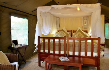 Family Forest Tent interior 