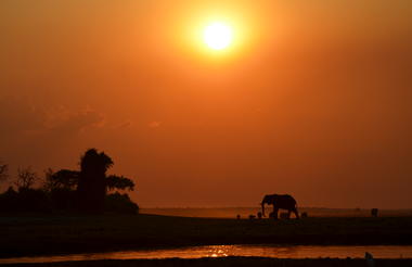 Sanctuary Chobe Chilwero sundowners