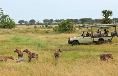 Sayari - Game drive