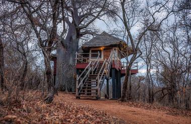 Elewana Tarangire Treetops