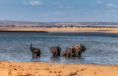 Elewana Collection Tarangire Treetops