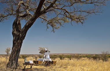 Elewana Tarangire Treetops