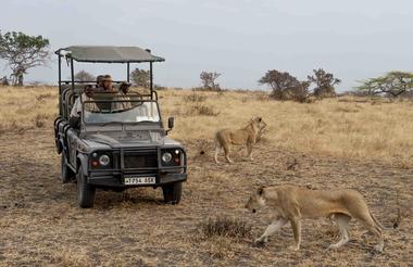 Game Drive