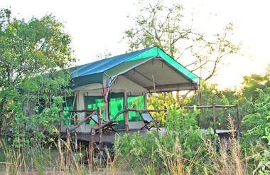 Selous Impala Camp Tent Exterior